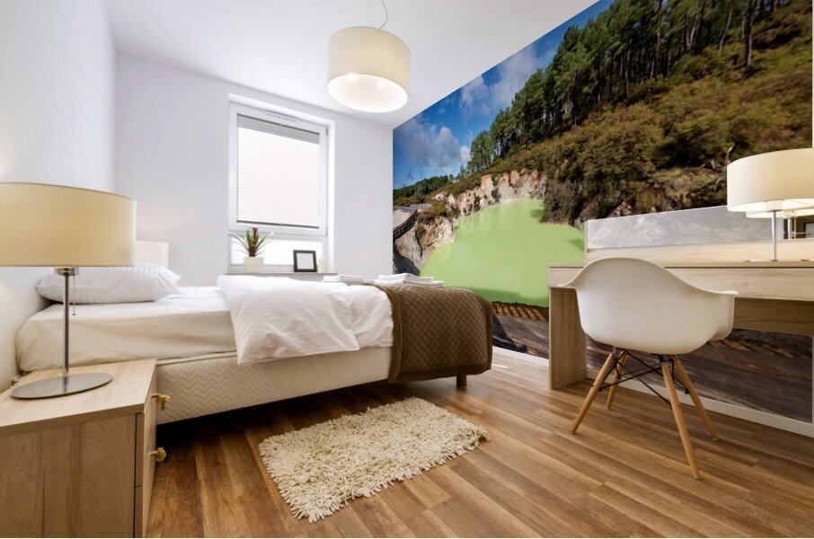 Views of devils bath in waiotapu thermal wonderland rotorua Mural print