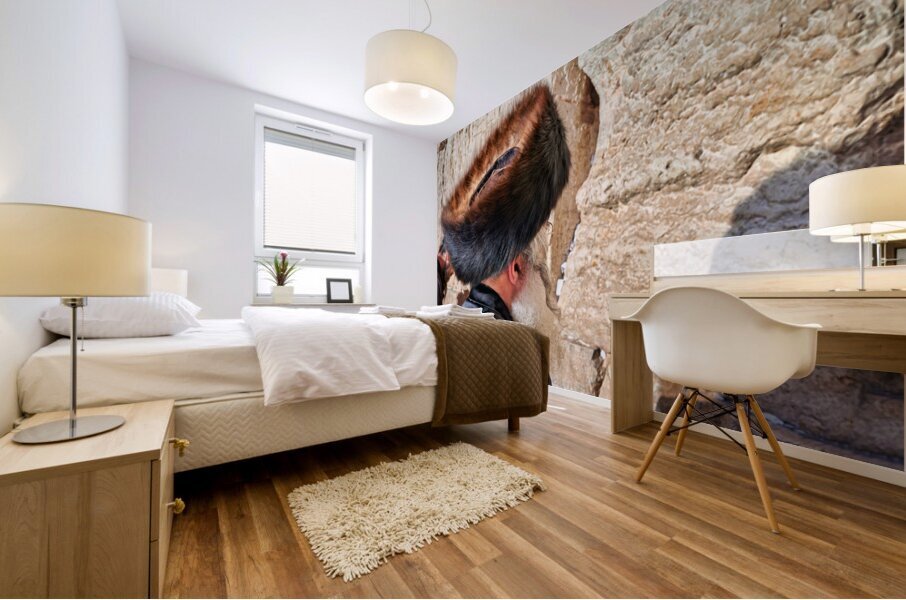 Orthodox Jews praying at the Wailing Wall in Jerusalem Israel Mural print