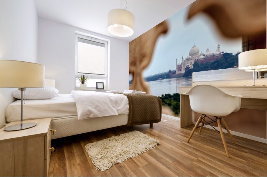 View of Taj Mahal Palace from a distance in Agra India Mural print