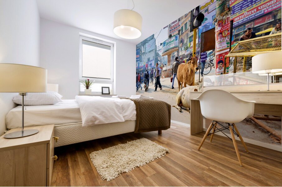 Cows roam the streets of Varanasi Benares Uttar Pradesh Mural print