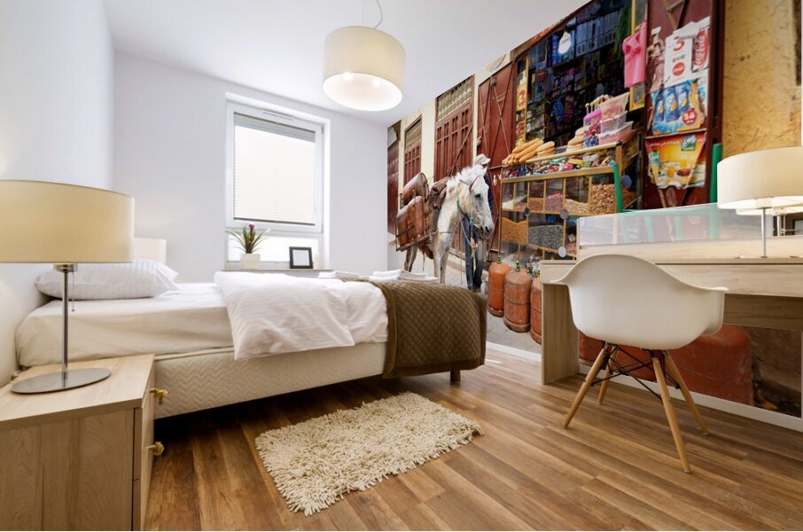 Donkey carrying gas cylinders through Fez Medina streets Mural print