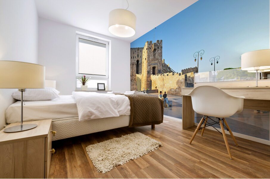 Visit to Citadel of Aleppo in Syria during evening light Mural print