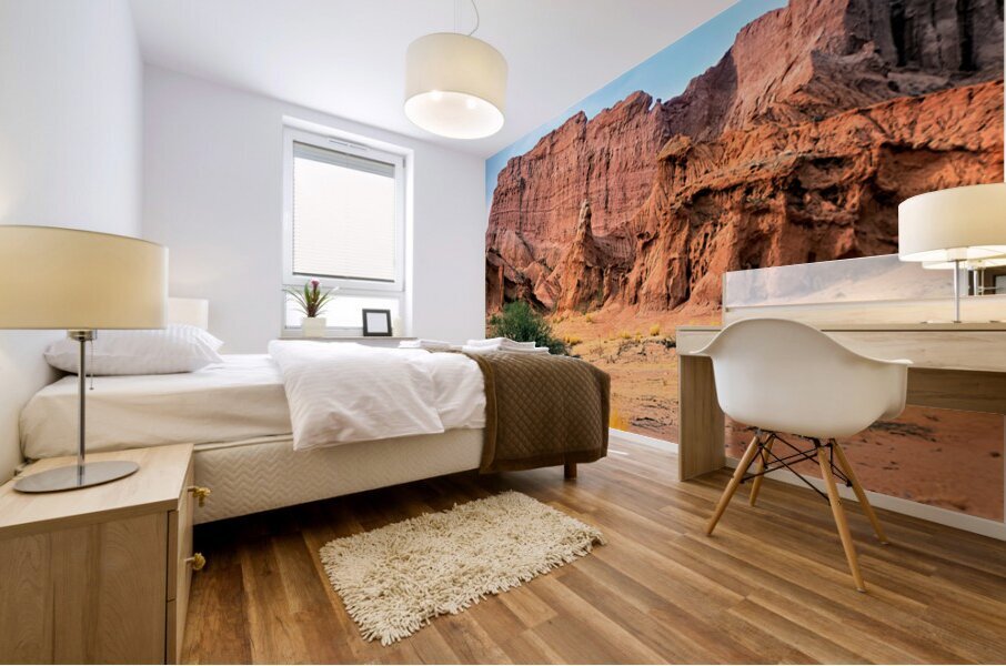 Eroded red rock formations in Quebrada de las Conchas near Cafay Mural print