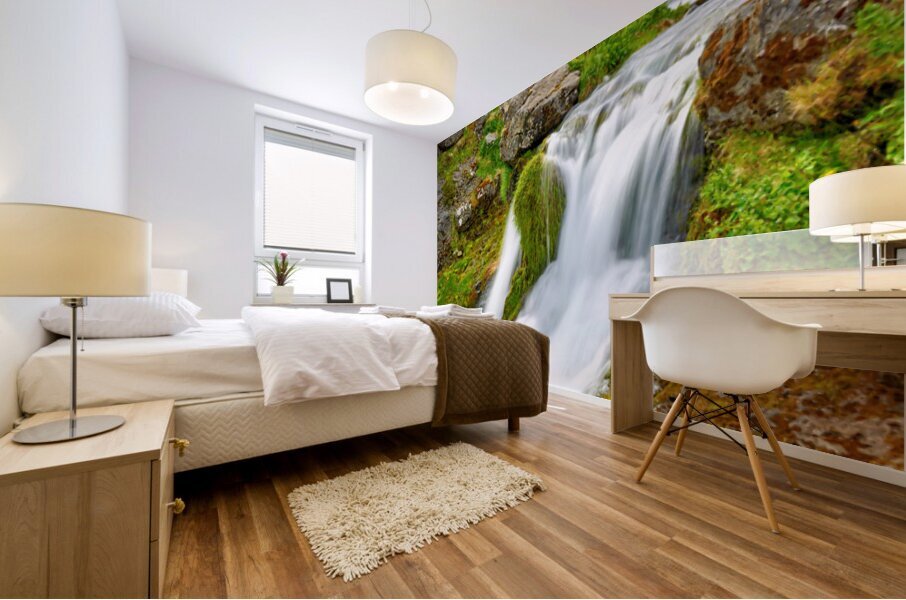 Gongumannafoss waterfall flows in Iceland during daylight hours Mural print