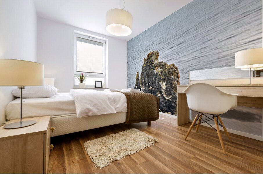 Hvitserkur rock formation in Iceland at low tide Mural print