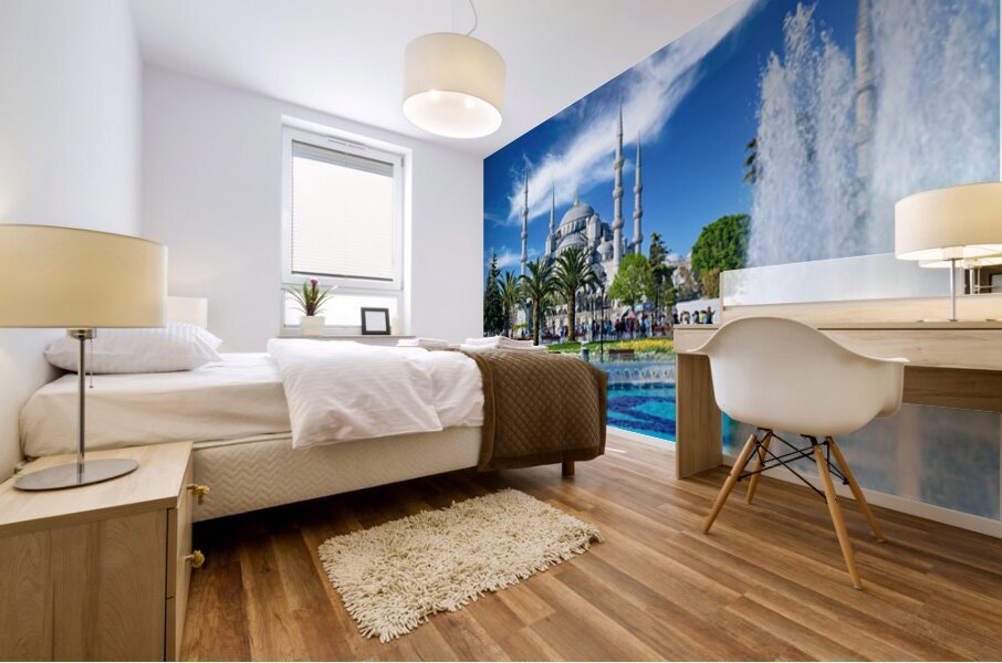 Visit to the Blue Mosque in Istanbul Turkey on a clear day Mural print