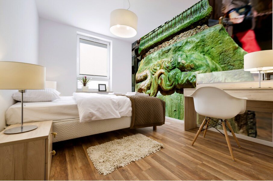 Visit to Basilica Cistern in Istanbul shows ancient columns Mural print