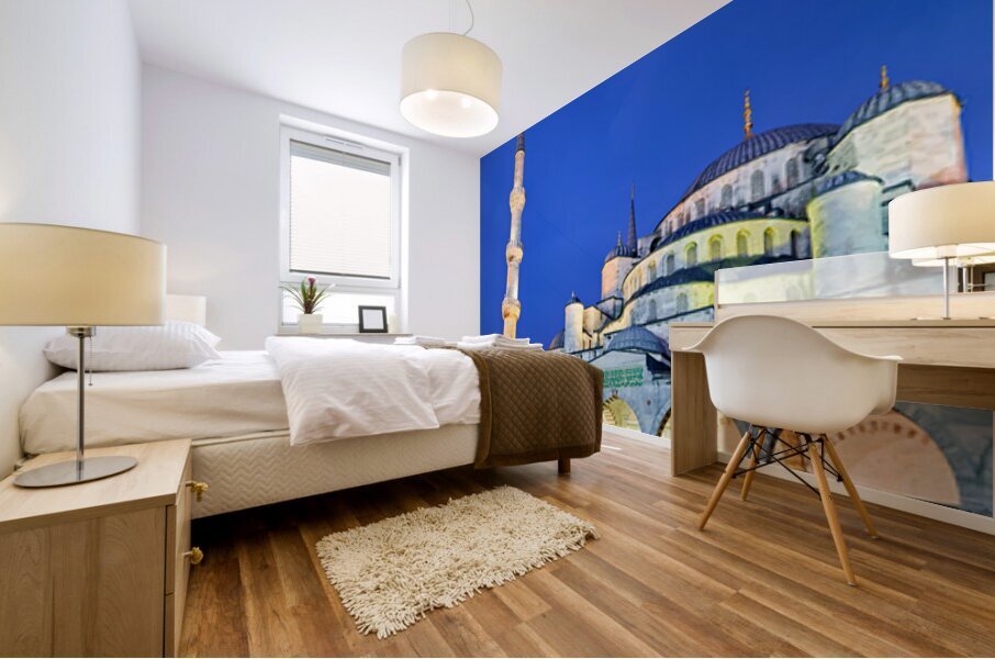 Visit to Blue Mosque in Istanbul at twilight Mural print