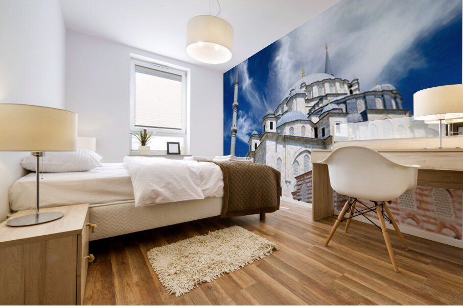 Visit to Fatih Mosque in Istanbul Turkey during sunny day Mural print