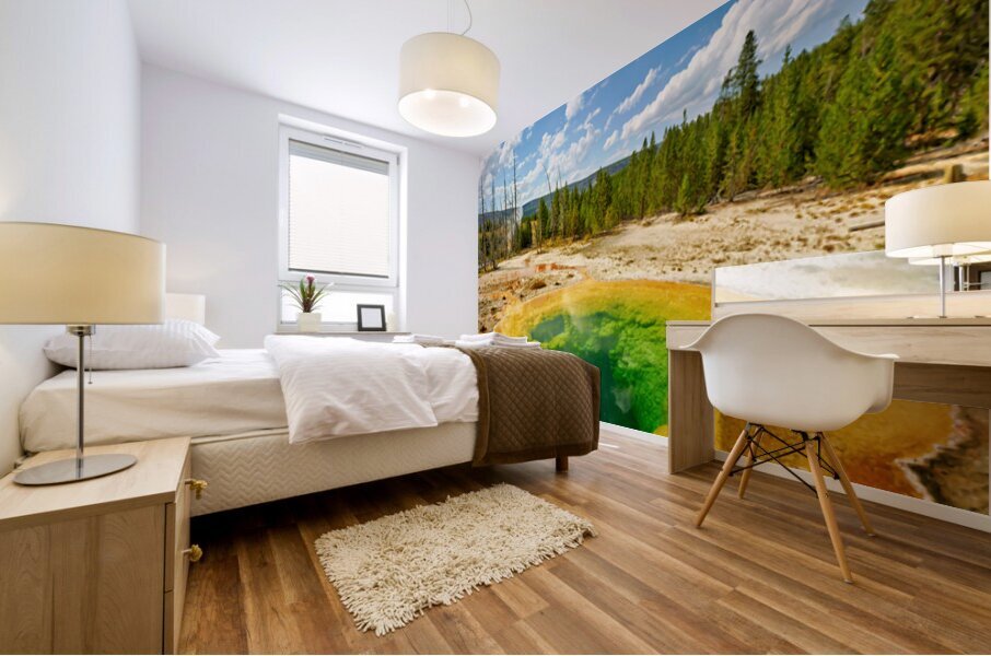 Morning Glory Pool shows colors at Yellowstone National Park Mural print