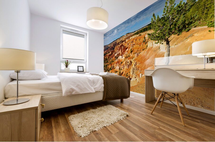 Sunrise at Bryce Canyon National Park near Sunrise Point Mural print