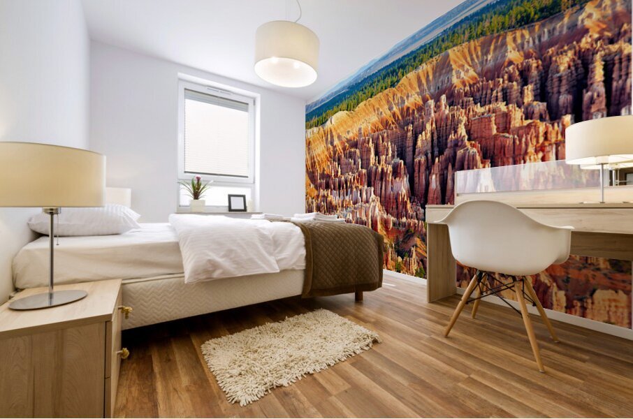 Views of bryce point at bryce canyon national park Mural print