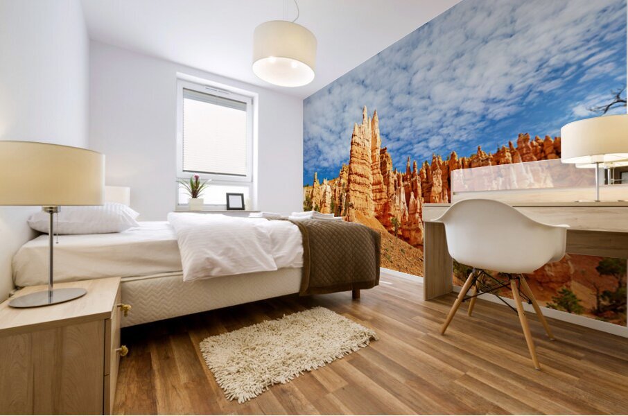 NP USA 00669 Mural print