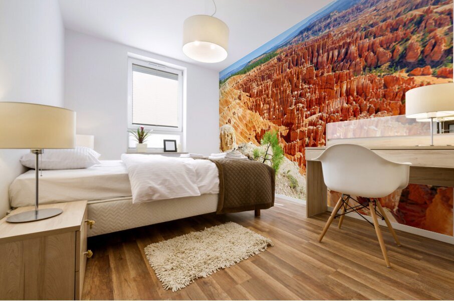 View from inspiration point at bryce canyon national park Mural print