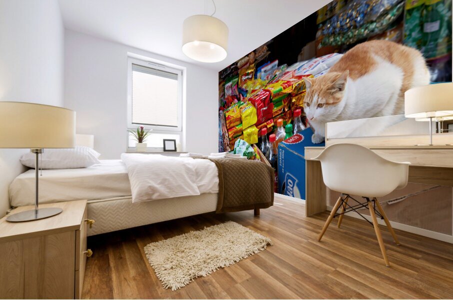 Cat sitting on boxes in Hanoi market during daytime Mural print