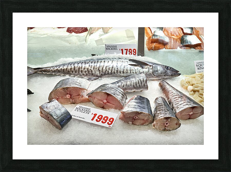 Sydney. New South Wales. Australia. The Fish Market. Fresh mackerel Picture Frame print