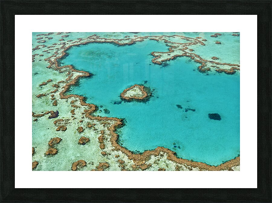 Heart Reef. Hardy reef. Great Barrier Reef. Queensland. Australia Picture Frame print