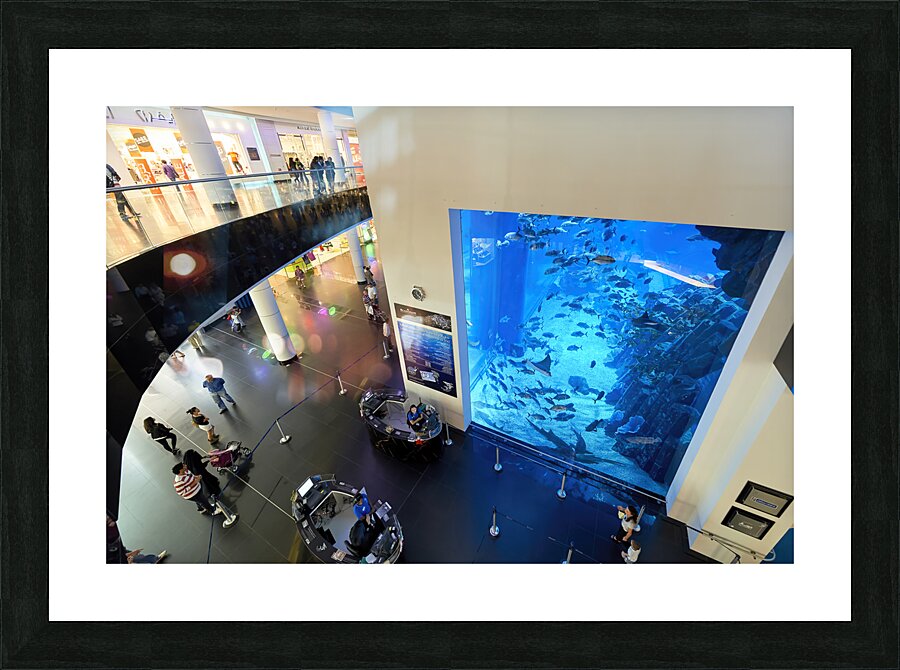 Dubai. UAE. Aquarium and underwater zoo Picture Frame print