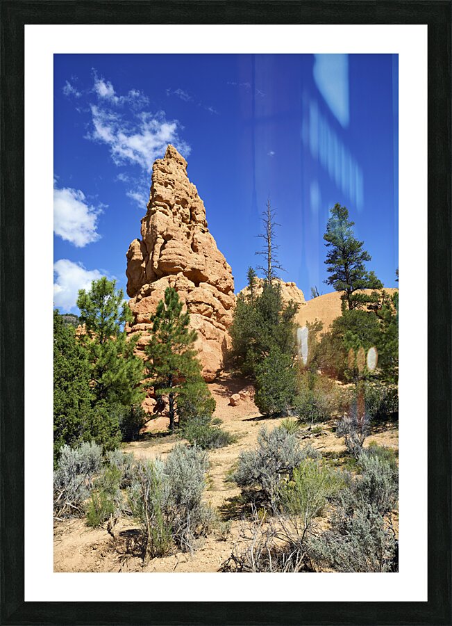 Hoodoohs at the Dixie National Forest. Utah. USA Picture Frame print