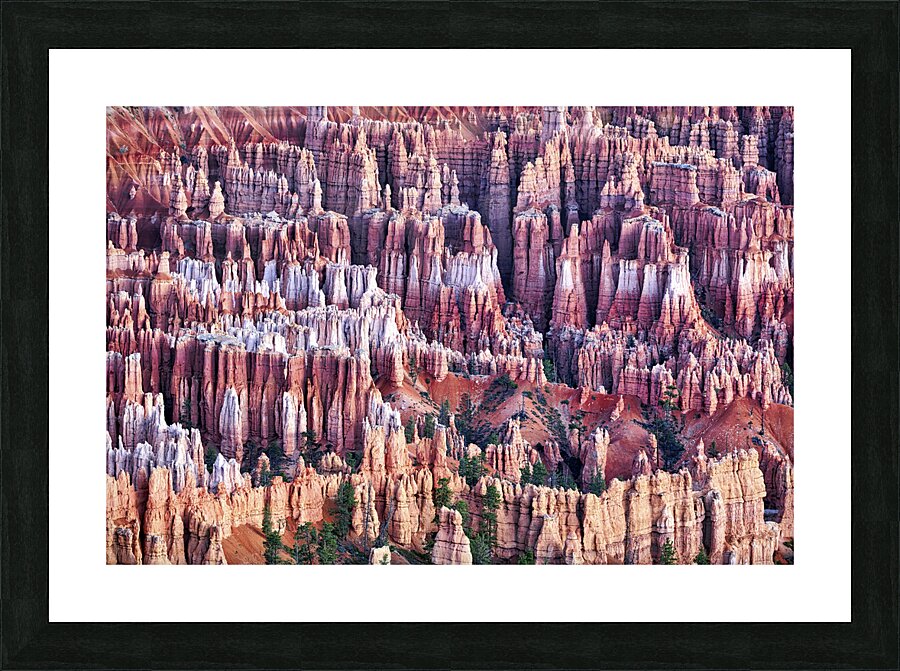 Sunrise at Bryce Point lookout in the Bryce Canyon National Park. Utah USA Picture Frame print