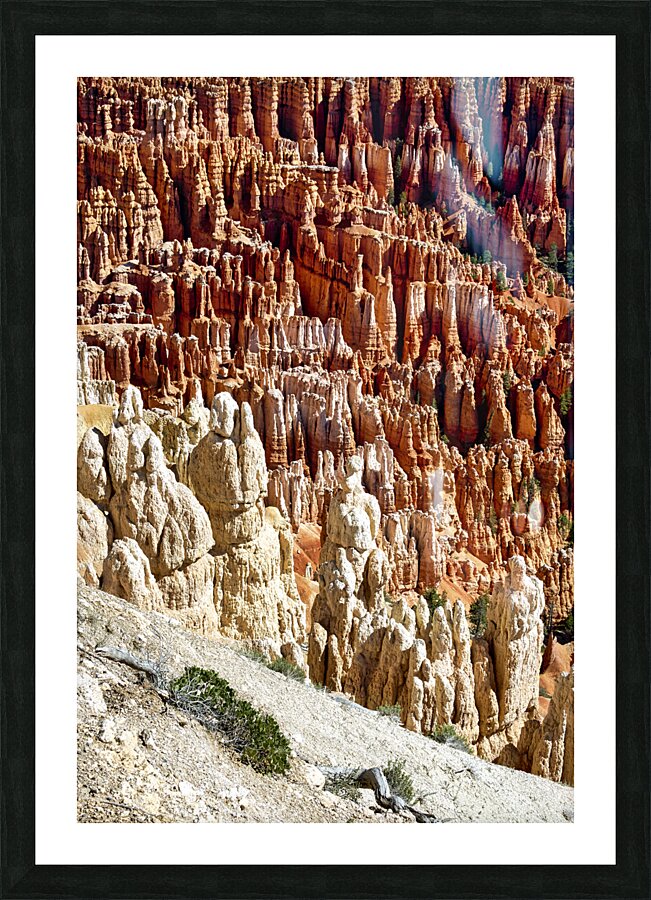 Inspiration Point Lookout in the Bryce Canyon National Park. Utah USA Picture Frame print