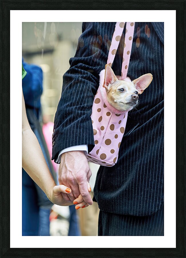 New York. Manhattan. United States. The Easter parade is an American cultural event consisting of a festive strolling procession on Easter Sunday. Picture Frame print