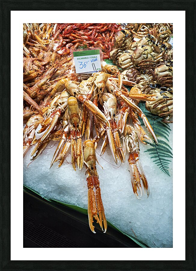 Barcelona. Catalonia. Spain. The Mercat de Sant Josep de la Boqueria. Tiger Prawns at fishmonger stall Picture Frame print