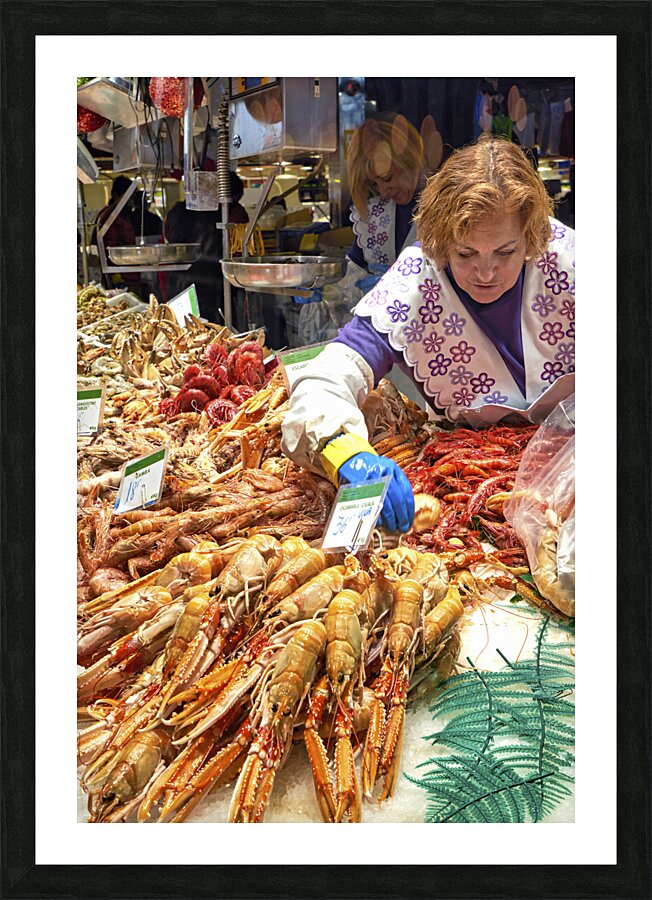 Barcelona. Catalonia. Spain. The Mercat de Sant Josep de la Boqueria. Tiger Prawns at fishmonger stall Picture Frame print