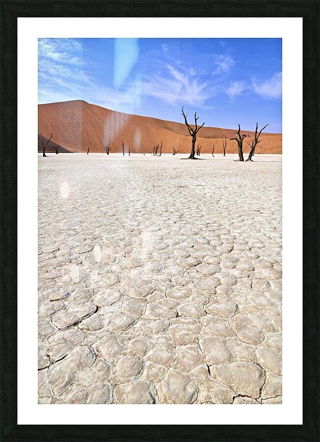 Namibia. Deadvlei clay pan. Namib Naukluft National Park. A dried out dead camel thorn Vachellia erioloba Picture Frame print