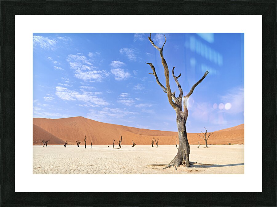 Namibia. Deadvlei clay pan. Namib Naukluft National Park. A dried out dead camel thorn Vachellia erioloba Picture Frame print