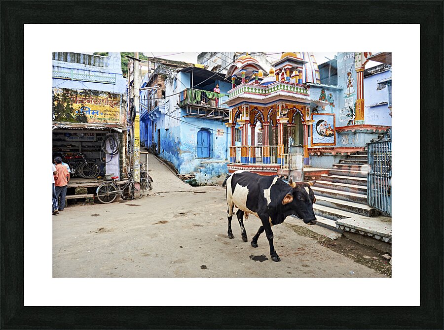 India Rajasthan Bundi. Decorated painted house Picture Frame print