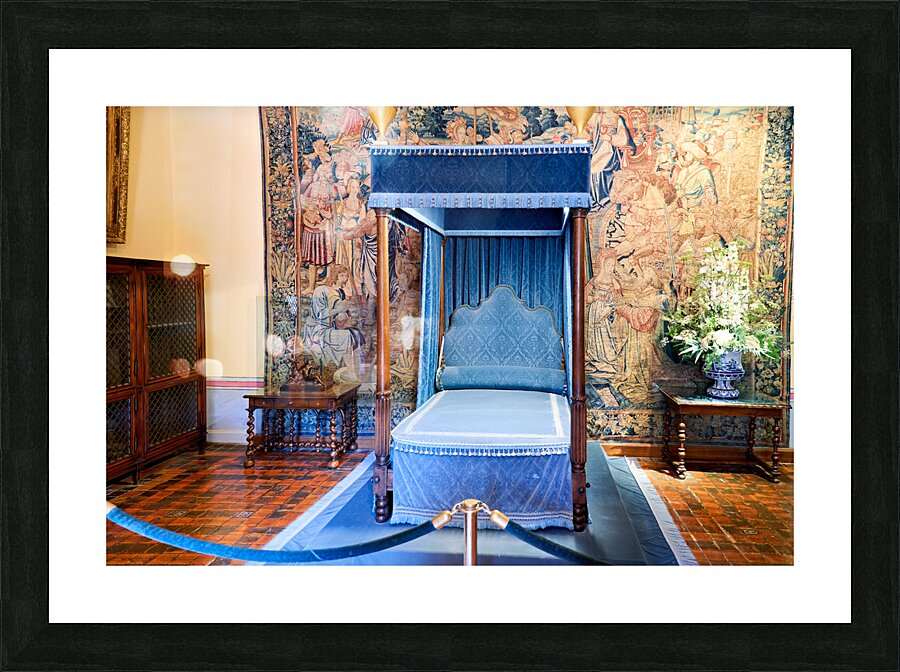 Chateau de Chenonceau. France. Picture Frame print