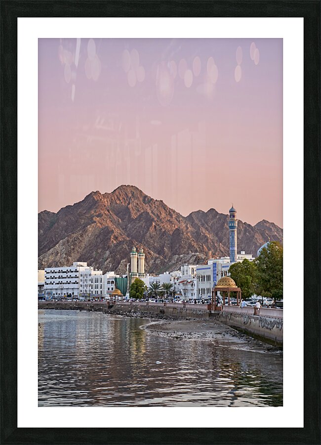 Oman. Muscat. Cityscape at sunset Picture Frame print