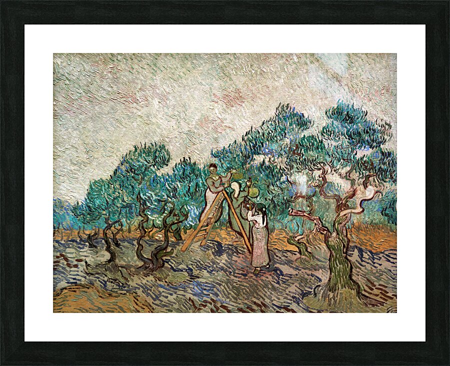 Vincent Van Gogh - The Olive Orchard - 1889 Picture Frame print