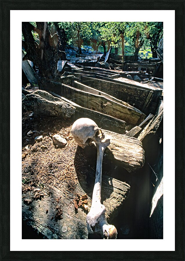 Pakistan. A Kalash cemetery in Bumburet valley Picture Frame print