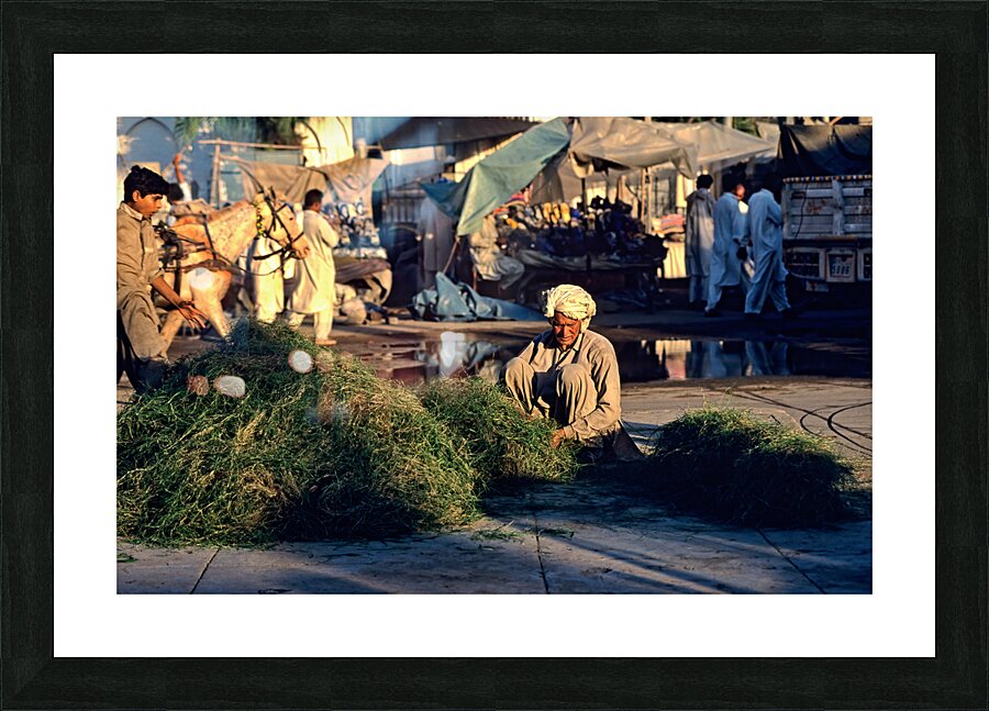 Pakistan. The street market in Lahore Picture Frame print