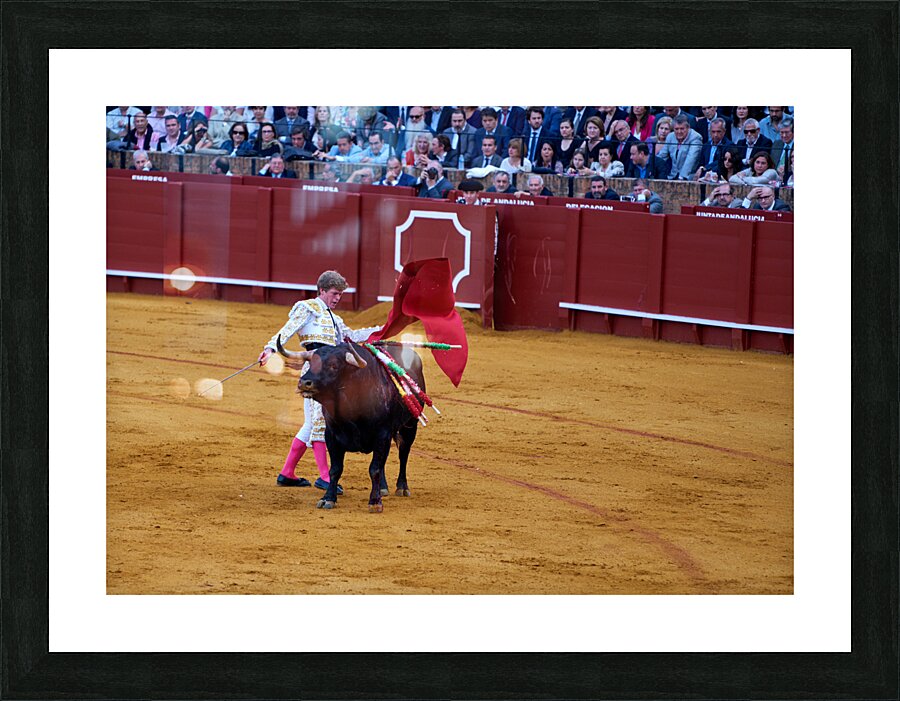ANDALUSIA SPAIN. Bullfight in Seville Arena Picture Frame print