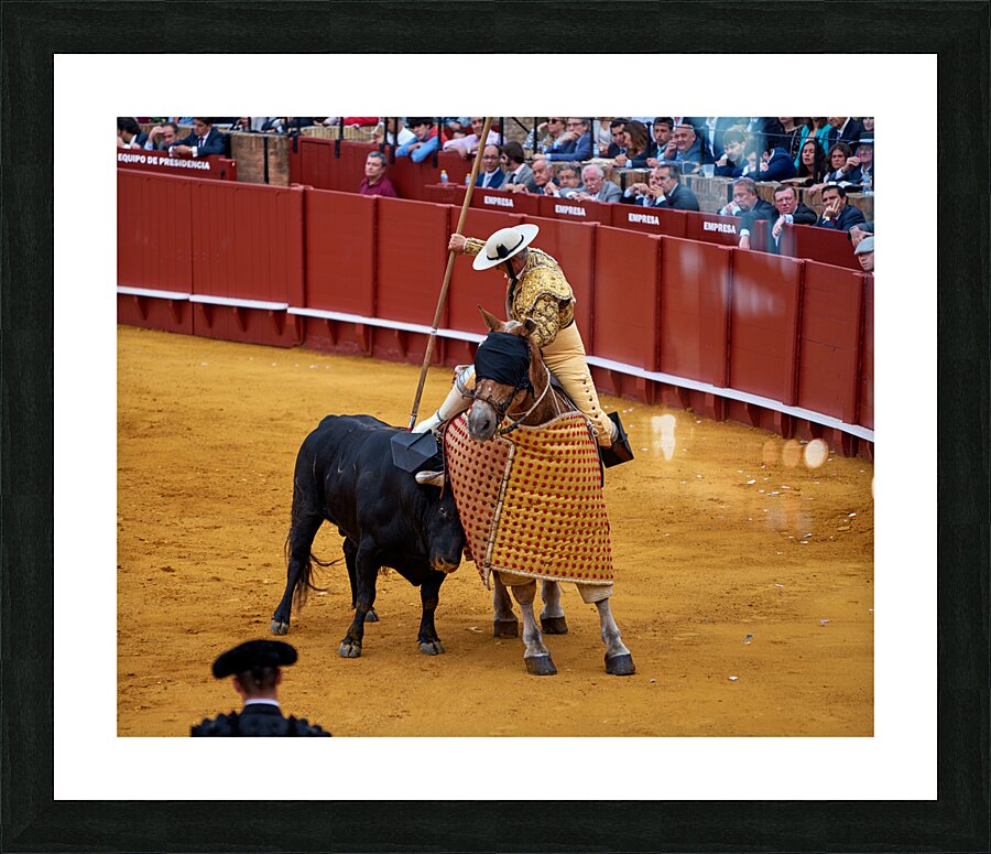 ANDALUSIA SPAIN. Bullfight in Seville Arena Picture Frame print
