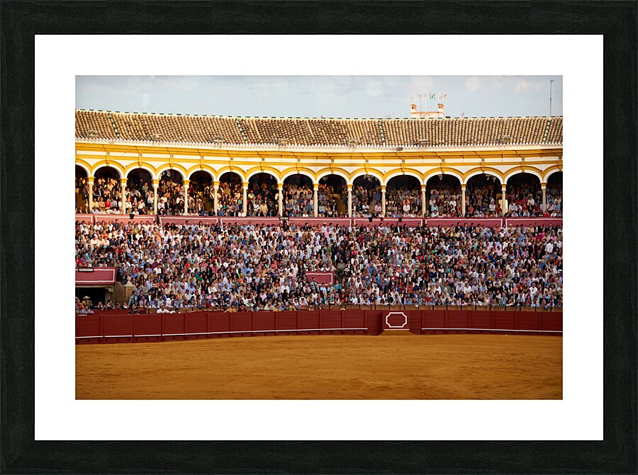 ANDALUSIA SPAIN. Bullfight in Seville Arena Picture Frame print