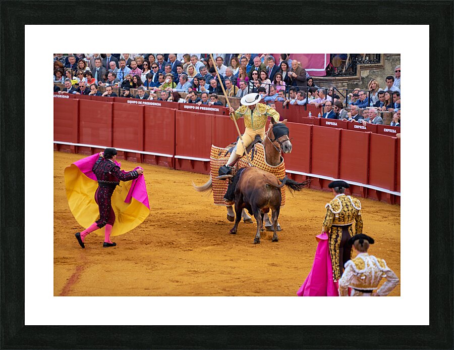 ANDALUSIA SPAIN. Bullfight in Seville Arena Picture Frame print