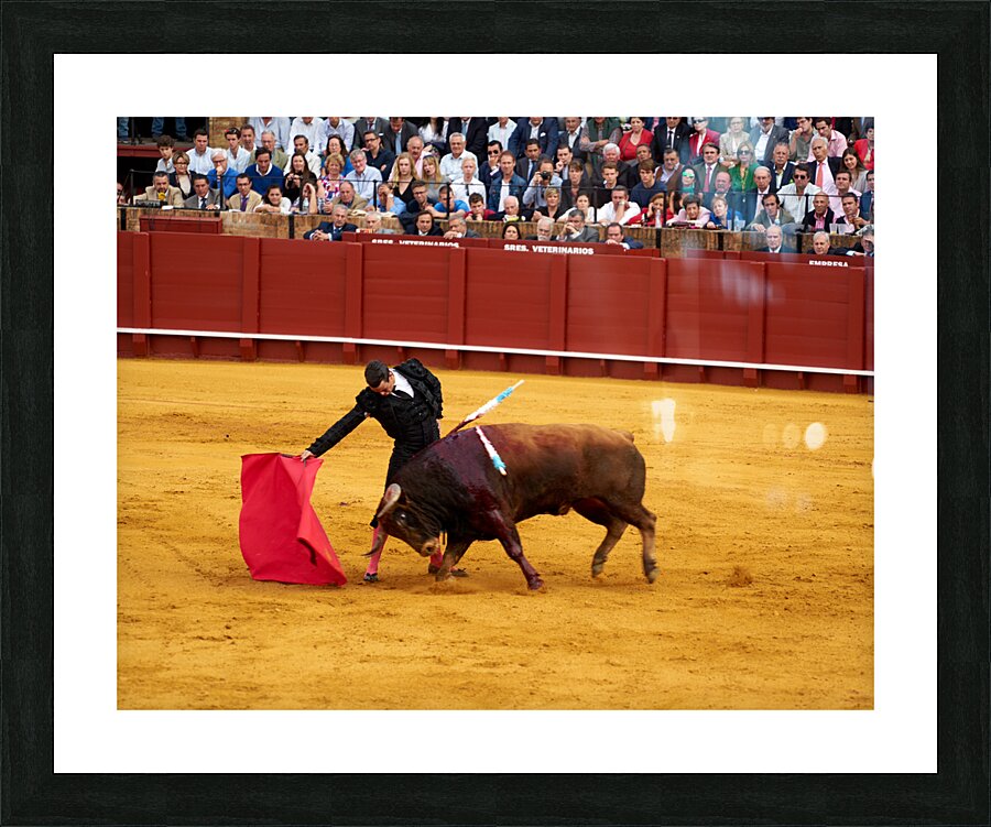 ANDALUSIA SPAIN. Bullfight in Seville Arena Picture Frame print