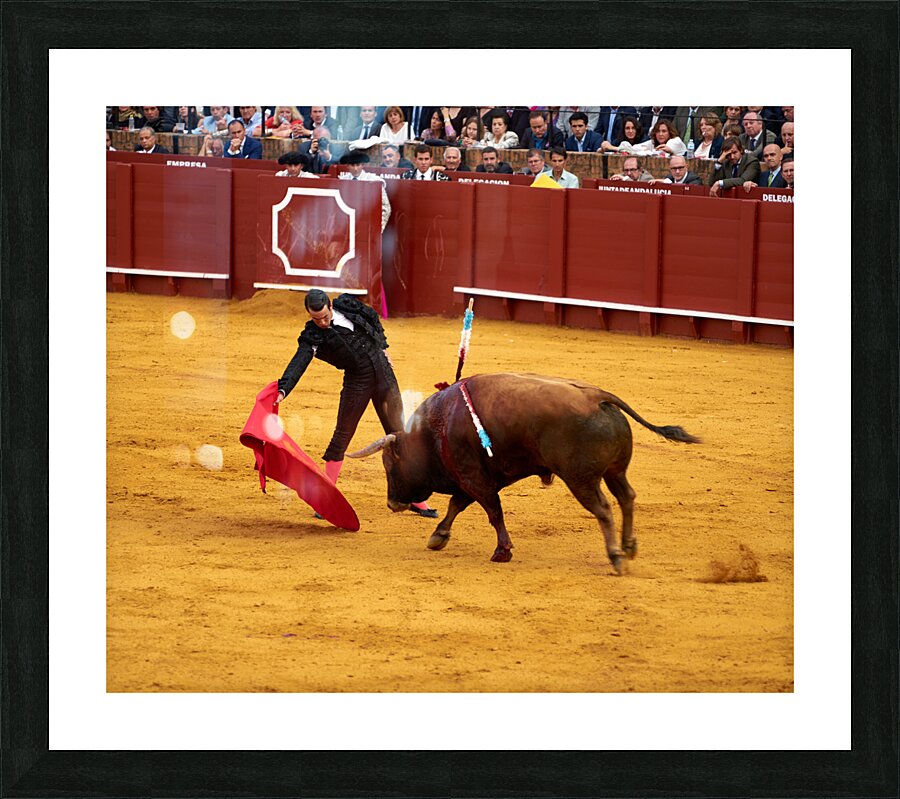 ANDALUSIA SPAIN. Bullfight in Seville Arena Picture Frame print