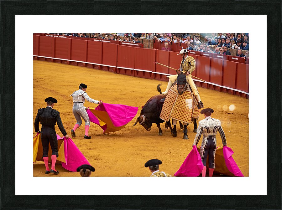 ANDALUSIA SPAIN. Bullfight in Seville Arena Picture Frame print