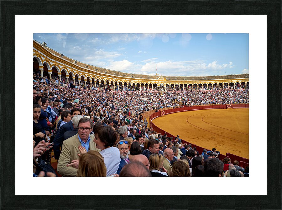 ANDALUSIA SPAIN. Bullfight in Seville Arena Picture Frame print
