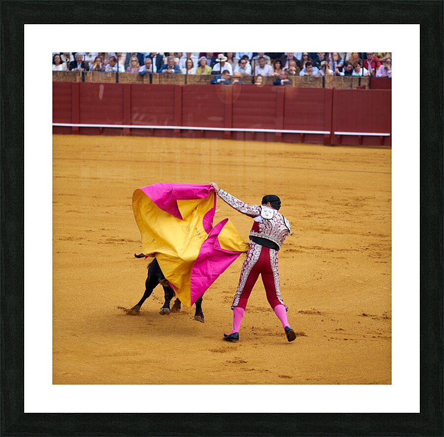 ANDALUSIA SPAIN. Bullfight in Seville Arena Picture Frame print