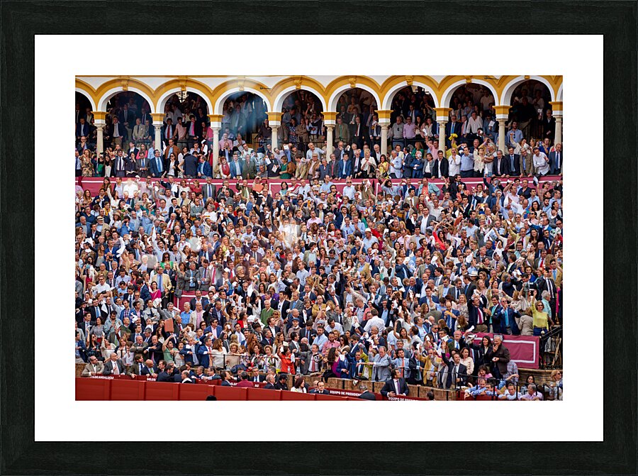 ANDALUSIA SPAIN. Bullfight in Seville Arena Picture Frame print