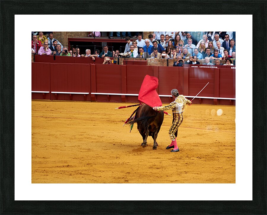 ANDALUSIA SPAIN. Bullfight in Seville Arena Picture Frame print