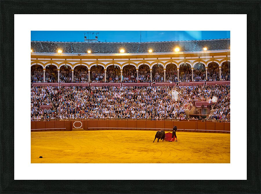 ANDALUSIA SPAIN. Bullfight in Seville Arena Picture Frame print