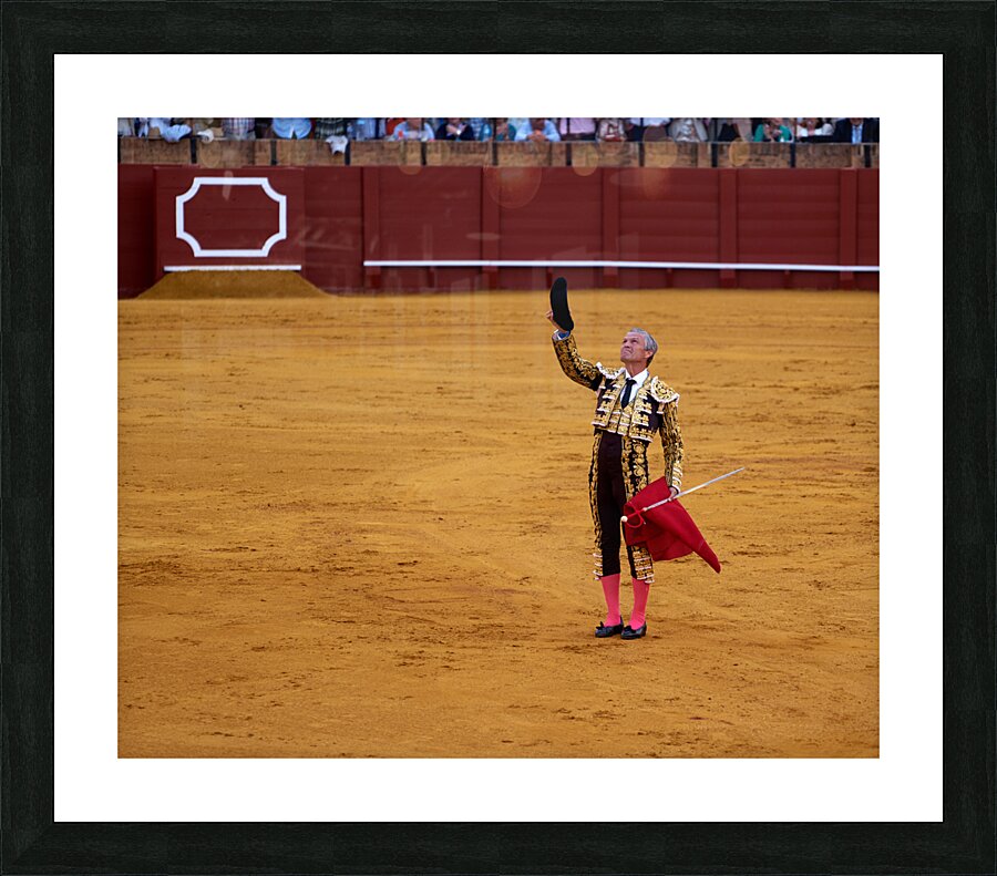 ANDALUSIA SPAIN. Bullfight in Seville Arena Picture Frame print