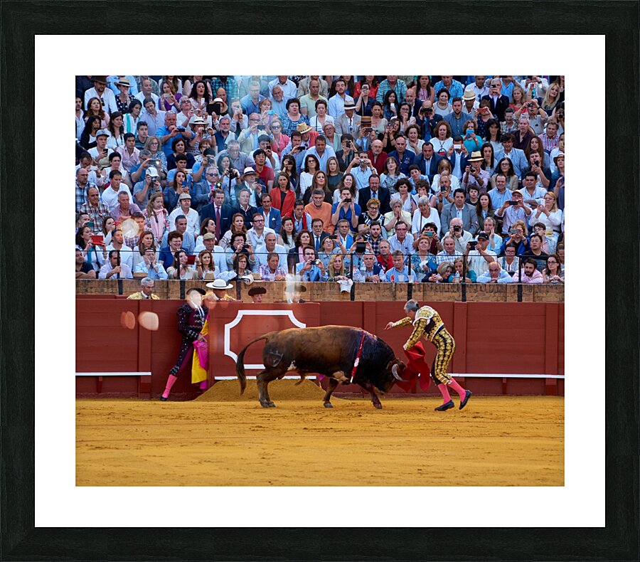 ANDALUSIA SPAIN. Bullfight in Seville Arena Picture Frame print